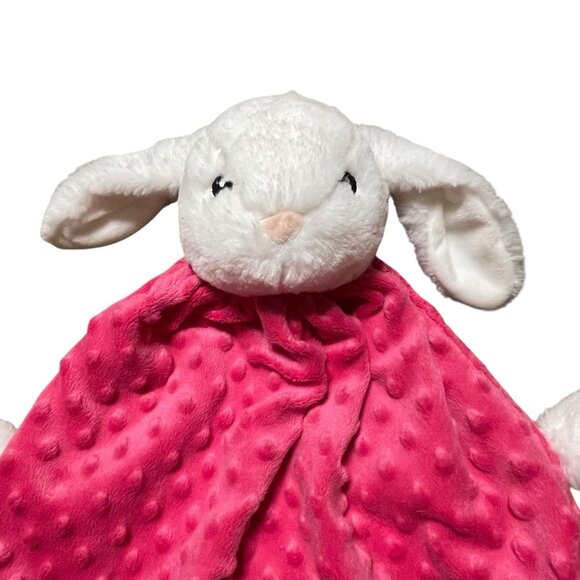 Fat Rat Family Cuddle Baby Security Lovey Blanket Pink Minky Paisley Satin - Picture 3 of 5